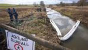 Umwelt: Ein Jahr nach Ölunfall an Thürer Wiesen – weniger Libellen