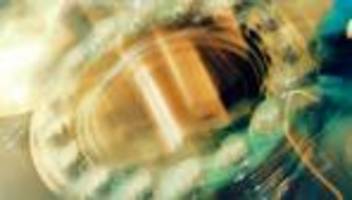 wolfgang wick: die unabhängigkeit unserer forschung wird weltweit geschätzt