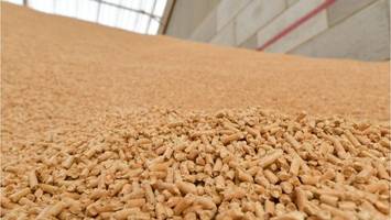 Pelletspreise aktuell (2. Februar): Das kostet heute eine Tonne