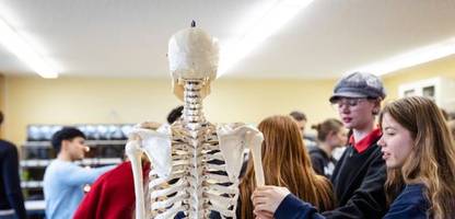 echte menschenknochen in schulsammlungen: skelette im unterricht