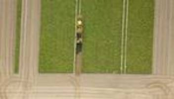 Agrar: Grüne fordern Pachtpreisbremse für Hessens Landwirtschaft