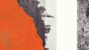 Klimawandel und Kapitalismus: Niemand sagt: Ich zerstöre den Planeten, weil ich Lust dazu habe