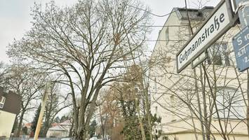 Lkw-Chaos: So soll der Verkehr in Zehlendorf Süd neu geregelt werden