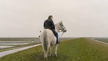 Mit Storm gegen den Klimawandel: „Der Schimmelreiter“