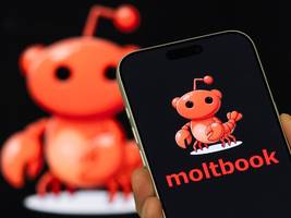 Soziales Netzwerk Moltbook: Wenn KI mit KI spricht