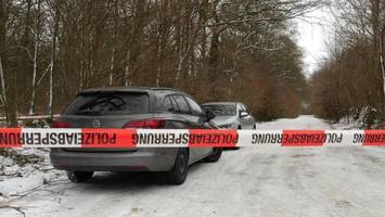liegt hier eine leiche im wald? cold case unit sucht nach vermisstem