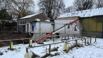 Panne bei Bauarbeiten: Stadt muss beschädigte Schulaula schließen