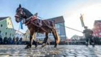 Brauchtum: Viele Schaulustige beim Berchinger Rossmarkt