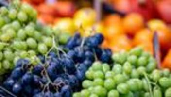 Fachmesse Fruit Logistica: Nachfrage nach Obst und Gemüse bleibt verhalten