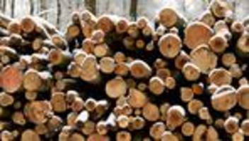 Konjunkturflaute: Weinig will 400 Stellen streichen – vor allem in Deutschland