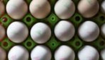 landwirtschaft: weniger bio-anbau in bayern trotz hoher nachfrage