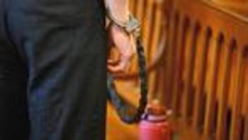 Maja T. in Ungarn: EU-Politiker kritisieren Urteil gegen Maja T.