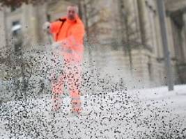 BSR darf es weiter einsetzen: Gericht verbietet privaten Streusalz-Einsatz in Berlin wieder