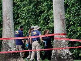 Bewaffneter lauerte im Gebüsch: Lebenslange Haft für versuchtes Trump-Attentat auf Golfplatz