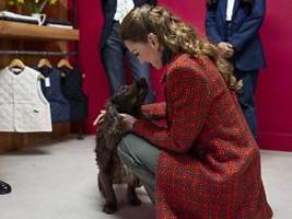 er ist erst acht monate alt: prinzessin kate spricht über felligen familienzuwachs