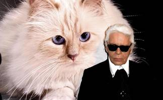 Karl Lagerfelds Millionen-Erbe wohl in Gefahr – nur seine Katze ist sicher