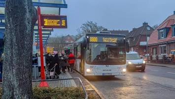 Angriff in Bus 8800 nach Lauenburg: Jugendlicher attackiert Senior