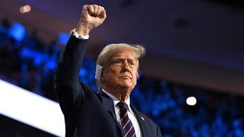 „don collosus“: streit um riesige goldstatue von donald trump eskaliert