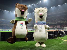 „schnella italia“: zwei hermeline, wie geschaffen für den maskottchenjob