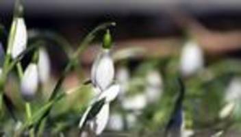 Vorhersage: Frühlingshafte Temperaturen in NRW erwartet