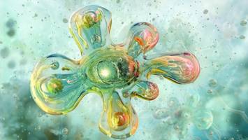 Gehirnfressende Amöben: Gefahr für tödliche Infektionen wächst