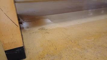 schimmel und dreck: massive reinigungsprobleme in berliner behörde