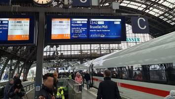 foto empört das netz: bettelnder migrant mit luxus-kleidung? das sagt er selbst