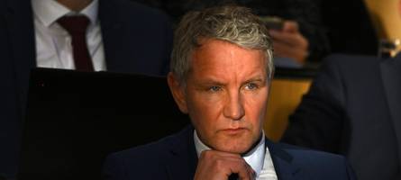 warum die afd ihren zenit überschritten hat