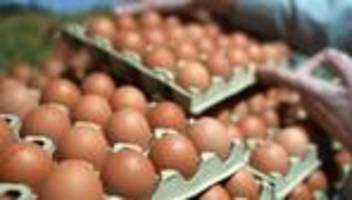 Inflation: Eier und Fleisch werden deutlich teurer