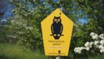 Koalitionsverhandlungen: Umweltverbände bangen um Klimaplan