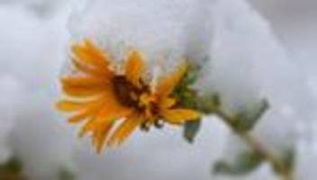 Temperaturunterschiede in Deutschland: Winterchaos und Frühlingsgefühle