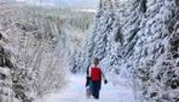 tourismus: frost und viel schnee bescheren harz bilderbuchwinter