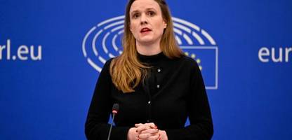 Europaparlament: Wer sind die Grünen, die gemeinsam mit Rechtsextremen gestimmt haben?