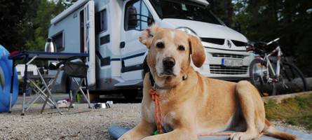 Deutsche Campingplätze sehr beliebt – das ist der bayerische Gewinner