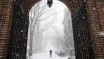 US-Regierung unter Donald Trump: US-Verteidigungsministerium beendet Kooperation mit Harvard