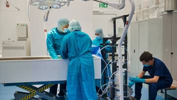 start-up konserviert verstorbene für späteres leben: „es gibt fortschritte“