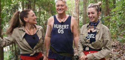 Dschungelcamp Tag 15: Warum Ariel gehen musste und Gil als Schmerzensmann für RTL Gold ist