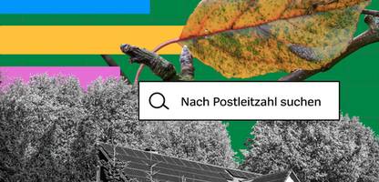 Borkenkäfer, Dürre, Fichtensterben: So geht es dem Wald in Ihrer Region