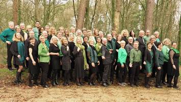 schall & rauch: bergedorfs erster popchor begeistert mit leidenschaft