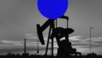 energiepolitik: so kommt friedrich merz von den jacht-people los