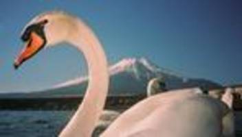 parlamentswahl in japan: das billionenrisiko für die weltbörsen