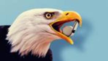 fußball-wm 2026: sollten wir die wm boykottieren?