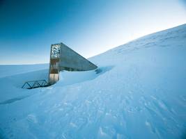 Welternährung: Wie Oliven den Weltuntergang überstehen sollen