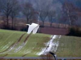 Wetterwoche im Schnellcheck: Zur Wochenmitte wird's etwas milder, dann wieder kälter
