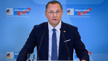 tino chrupalla: privatleben, beruf, politik – infos zum afd-politiker