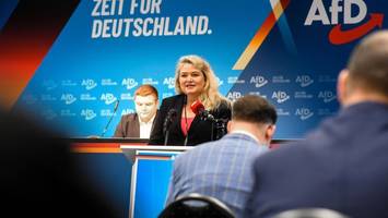 wahlkampf „ohne hass“: so soll die neue afd-jugend in berlin stimmen holen