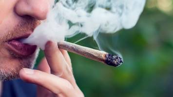 uke-studie: deutsche konsumieren mehr marihuana – wegen der freigabe?