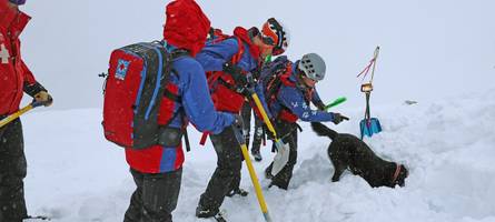wenn lawinenhunde verschüttete aufspüren und jede sekunde zählt