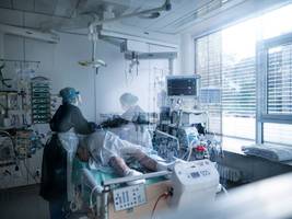 Medizin: Wenn Übergewicht Infektionen gefährlicher macht