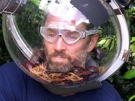 „Ich bin ein Star – Holt mich hier raus!“: Läuterung war noch nie so einfach